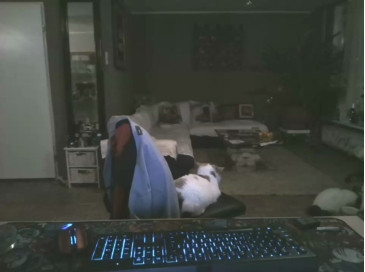 mihaimichael  27-01-2021 Recorded Video Cam