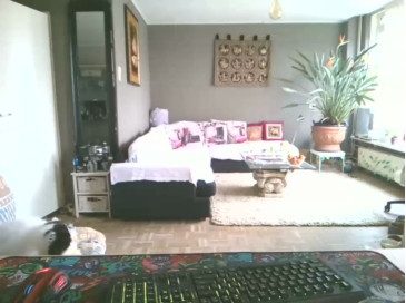 mihaimichael  28-01-2021 Recorded Video Porn