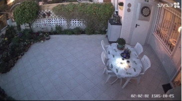 PaulieDeBeest99  29-01-2021 Recorded Video Topless