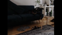 soccermatch  30-01-2021 Recorded Video Nude