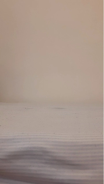 Carlitosnn  31-01-2021 Recorded Video Nude