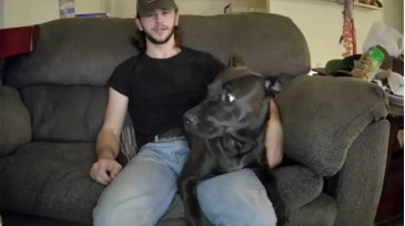 Jacen1  31-01-2021 video tall