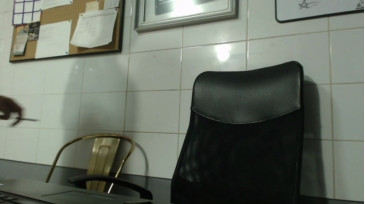 Heavygom  01-02-2021 Recorded Video Topless