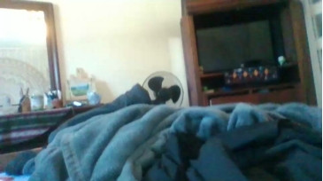 Blondesurfer1994200  03-02-2021 video sex