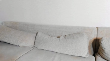 _Adam19  04-02-2021 video talk