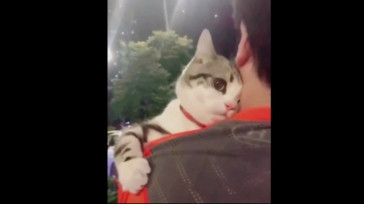 Topganhotty  06-02-2021 video hot