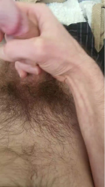 stoutebui