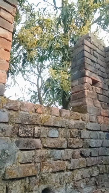 chiranjitho1  13-02-2021 Recorded Video Cam