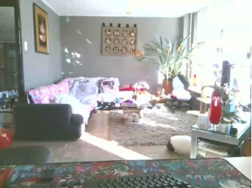 mihaimichael  13-02-2021 Recorded Video Webcam