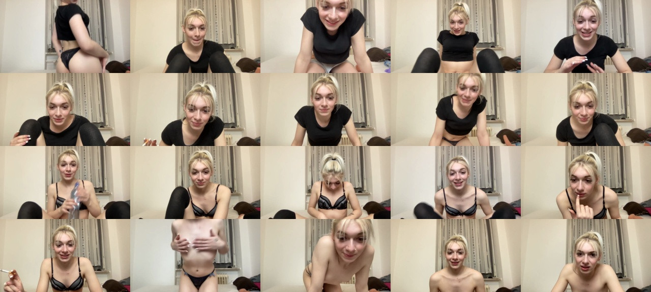 Stupidamy ts 15-02-2021  trans Cam