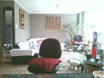 mihaimichael  15-02-2021 Recorded Video Show