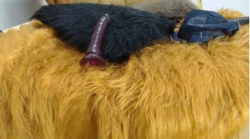 nathan_boy_vip  16-02-2021 Recorded Video XXX