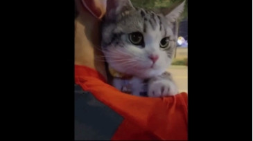 Topganhotty  17-02-2021 video bigbooty