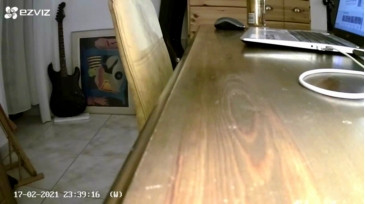 PaulieDeBeest99  17-02-2021 Recorded Video Download