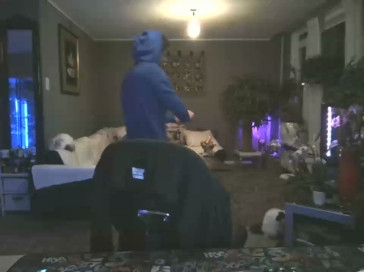 mihaimichael  20-02-2021 Recorded Video Download