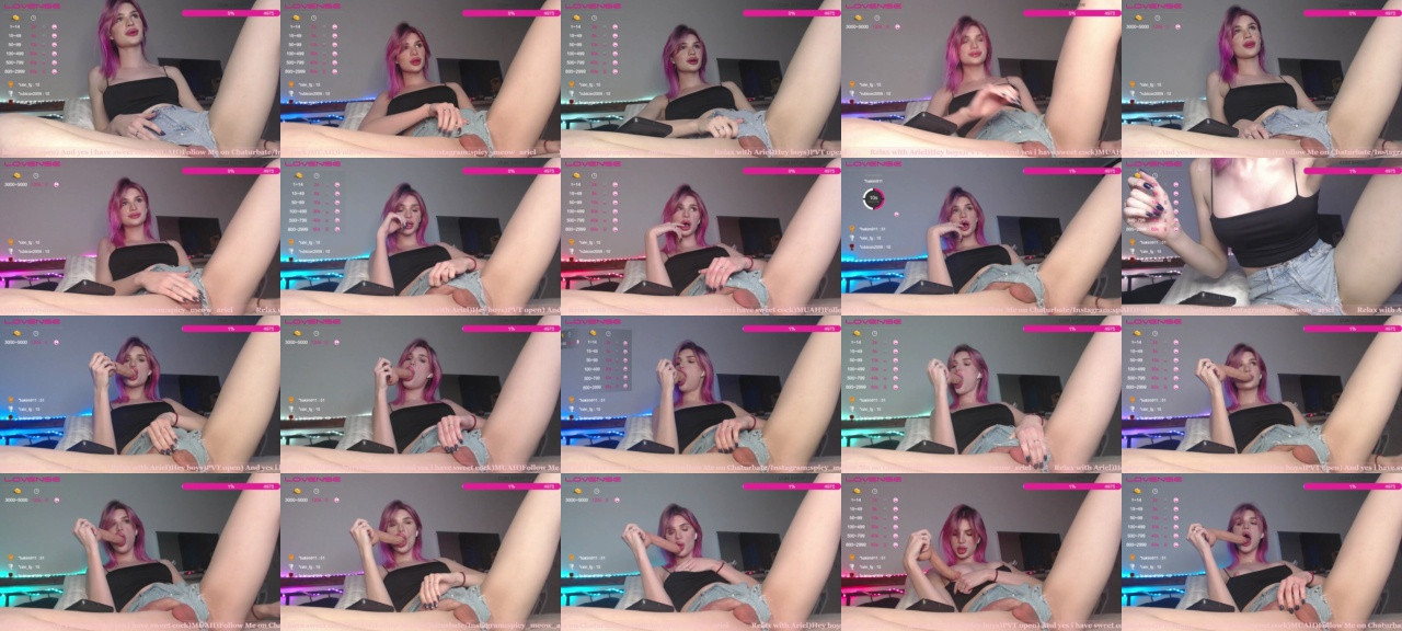Spicy_Meow  23-02-2021 Trans Cam