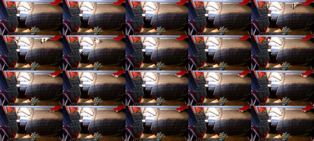 mikeynl2019  27-02-2021 Recorded Video Download