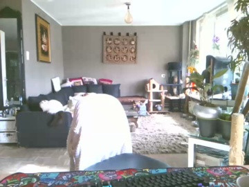 mihaimichael  06-03-2021 Recorded Video Download
