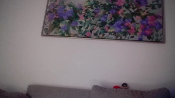 Eddieds  12-03-2021 ohmibod on Couple