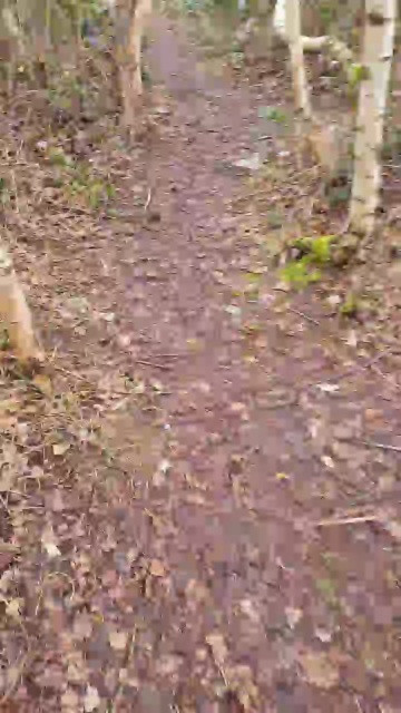 Geil32hb  12-03-2021 Recorded Video Cam