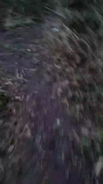 Geil32hb  12-03-2021 Recorded Video Topless