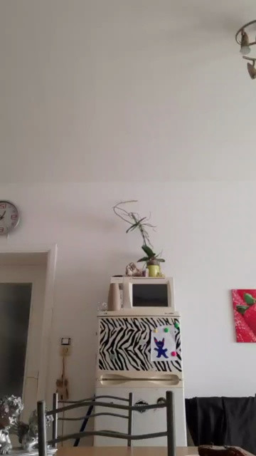bellekati 14-03-2021 Webcam 