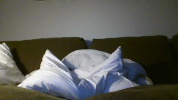 Lyfeincollege  18-03-2021 video ride toy