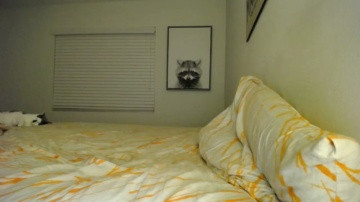 Notabottom  20-03-2021 video pvt on