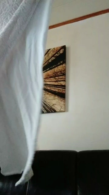 fiioufun  25-03-2021 Recorded Video Cam