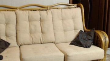 _Miles19  26-03-2021 video fuckass