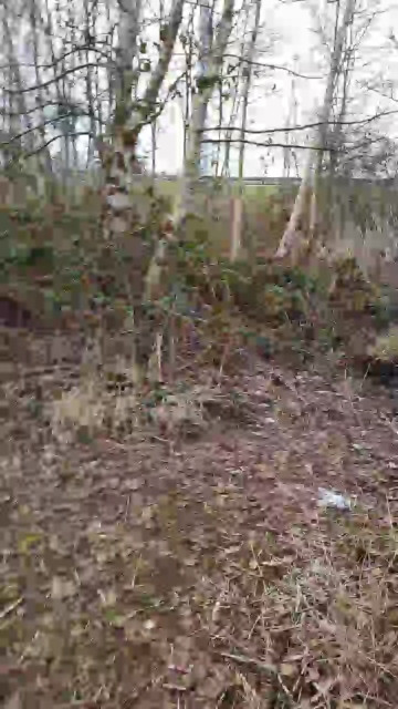 Geil32hb  01-04-2021 Recorded Video Show