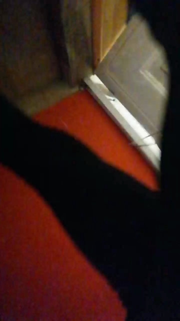 1InfinityParty  03-04-2021 Recorded Video Webcam