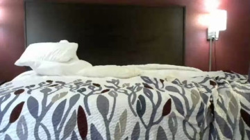 Hardworkertn  03-04-2021 video wild