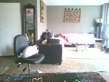 mihaimichael  07-04-2021 Recorded Video Porn