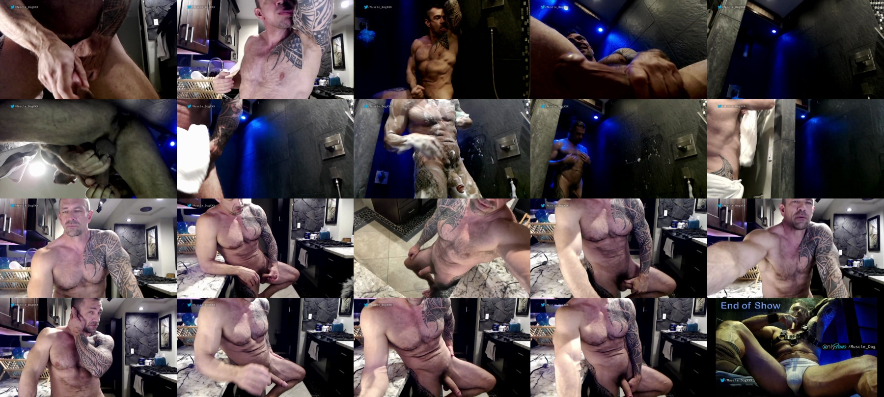 Muscle_Dog  09-04-2021 video strip