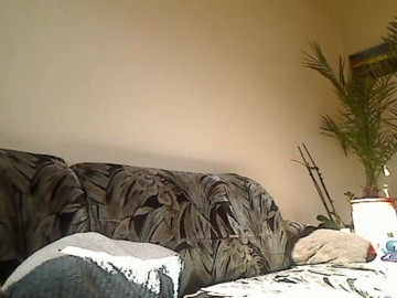 Kevintje85  11-04-2021 Recorded Video Cam