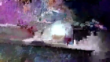 Rogi6  12-04-2021 video bounce