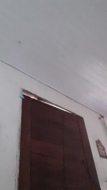 MorenoDaNit  15-04-2021 Recorded Video Porn