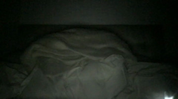 Drecams  16-04-2021 video toys