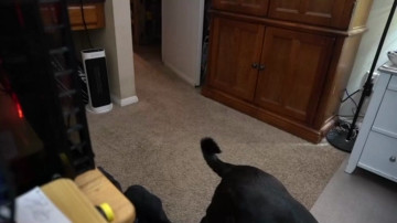 Sydaffect  24-04-2021 video spoil