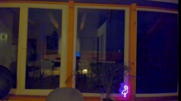 Mewtwo__  24-04-2021 video yummy