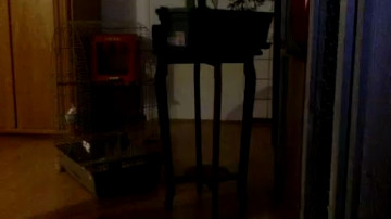Slavic1germa  28-04-2021 Recorded Video XXX