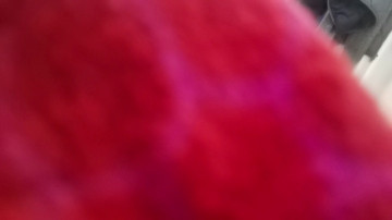 Tastit4cs  28-04-2021 Recorded Video Download