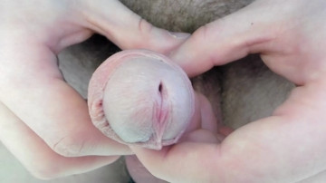 Viksons  30-04-2021 video gape