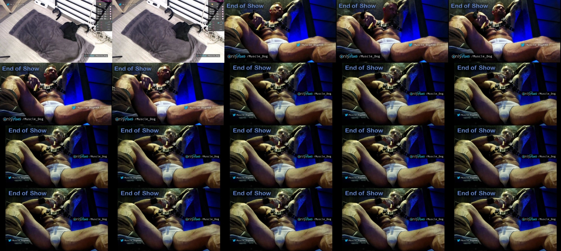 Muscle_Dog  01-05-2021 Male Webcam