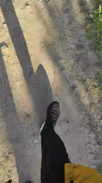 MORENOFOGOSO69