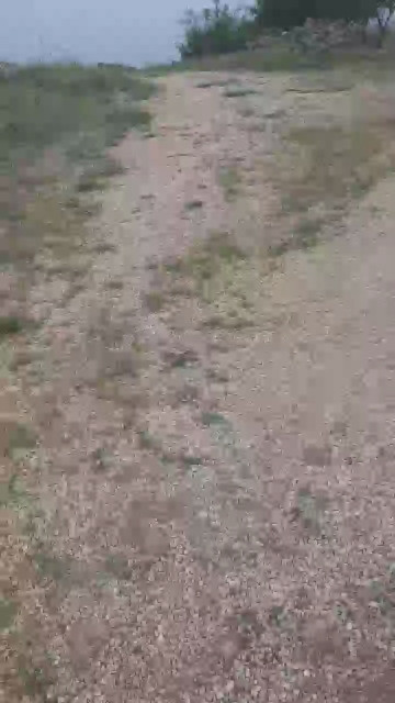 asilreis  04-05-2021 Recorded Video Download