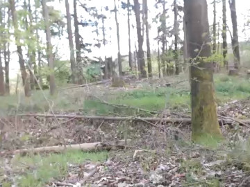 carwix  09-05-2021 Recorded Video Webcam