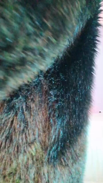 Hanx_cum  11-05-2021 Recorded Video Naked