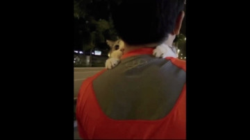 Topganhotty  11-05-2021 video ohmibod on